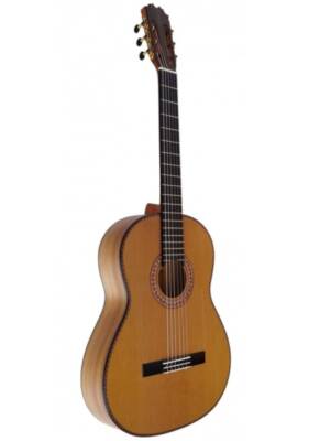 Guitarra Pepe Habichuela