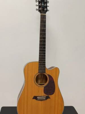 Guitarra acustica (resevada)